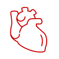 cardiology