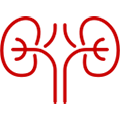 nephrology